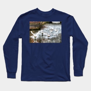 Panic, Swans Take Flight Long Sleeve T-Shirt